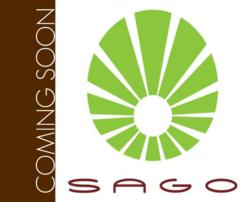 Sago at The Foothills by Brookfield Homes